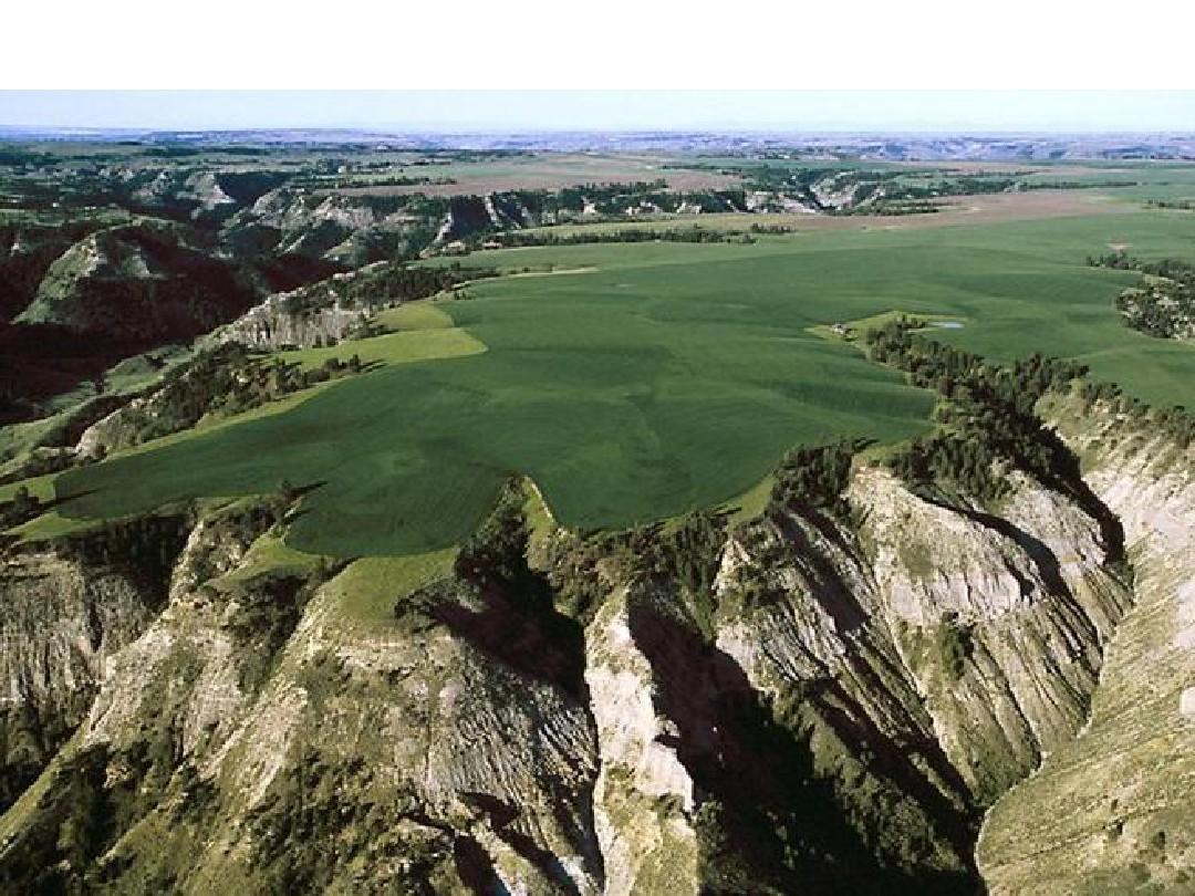 荒山變成了金山銀山