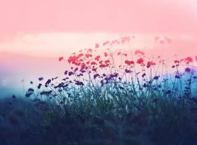 �����˼��