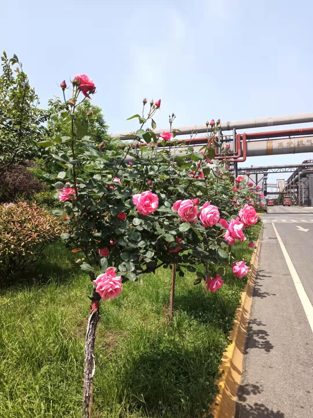 ���c�h�ͬ�еİ���