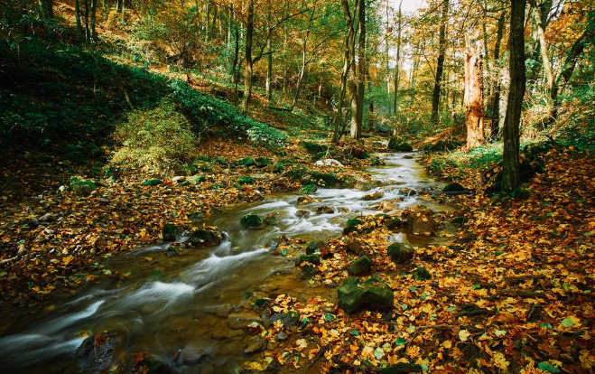 ��ʵ�����