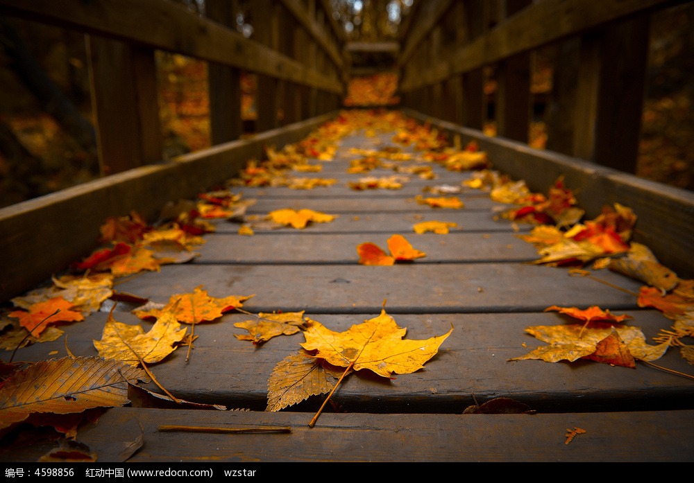 �~���L��