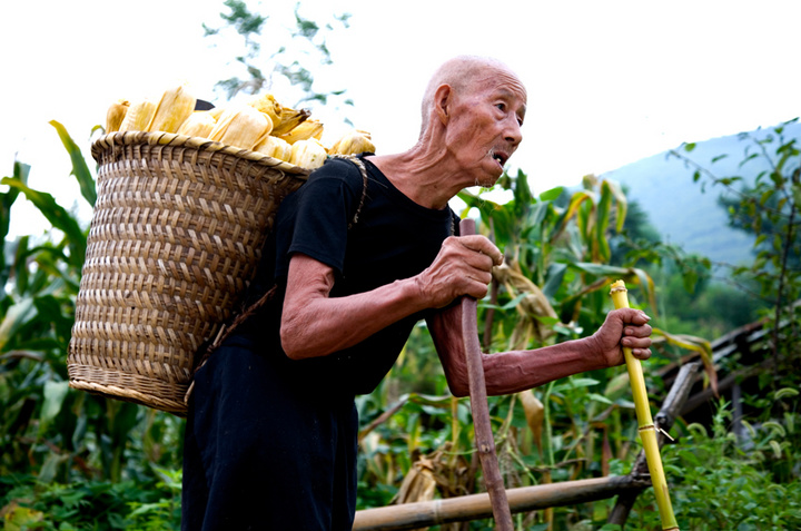 喇叭背上的傳承 喇叭背上的傳承