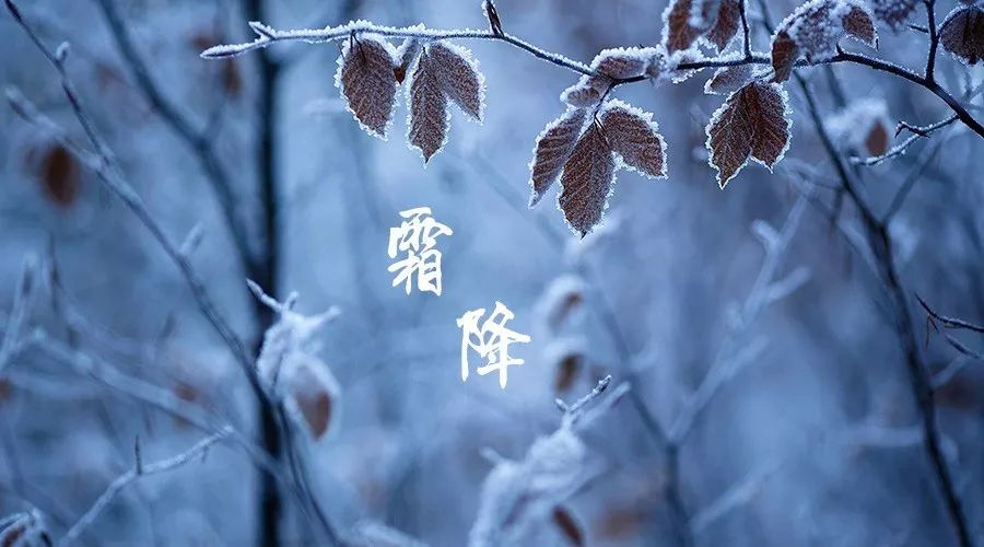 霜降 “清秋”  遠(yuǎn)去“寒冬”來
