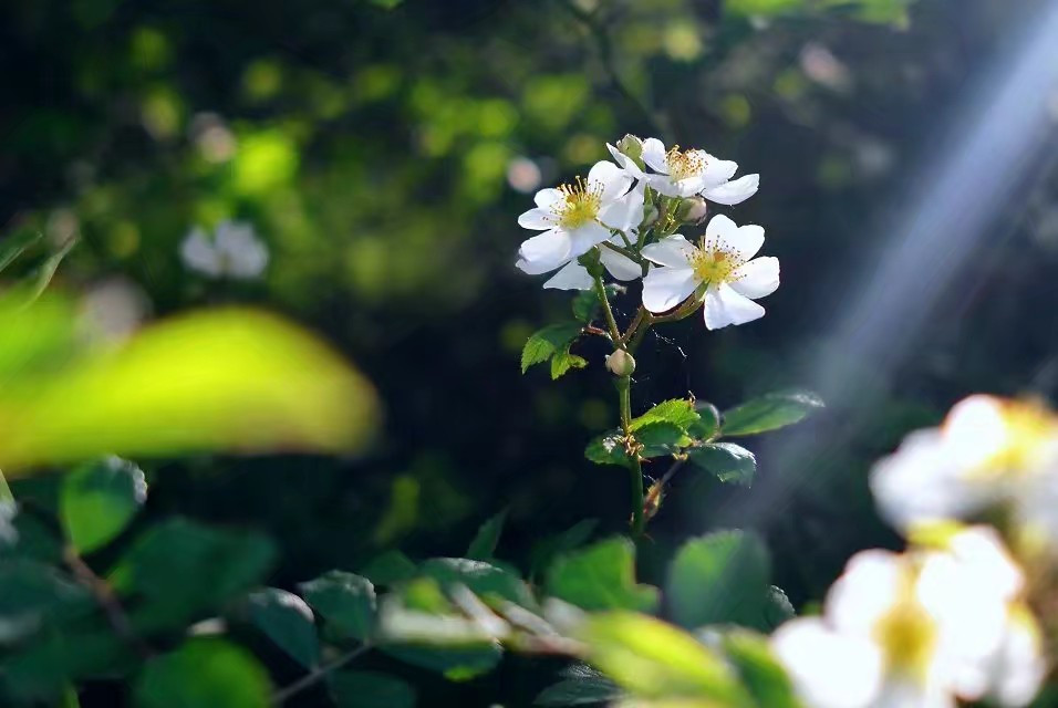 漢鋼不止適合思念，更適合遇見