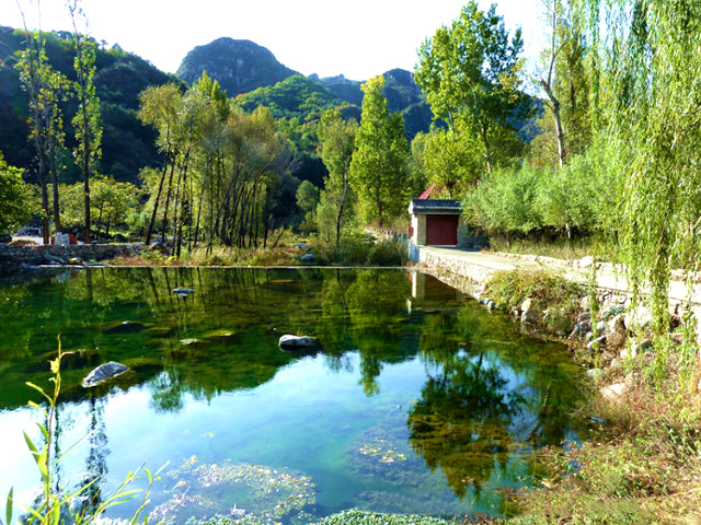 感悟大自然的“生命美學” 感悟大自然的“生命美學”