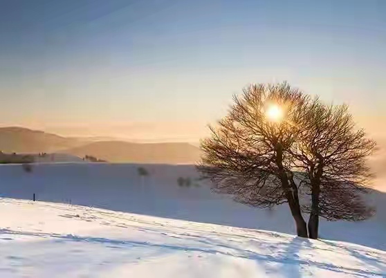 四季更迭 人生冷暖 四季更迭 人生冷暖