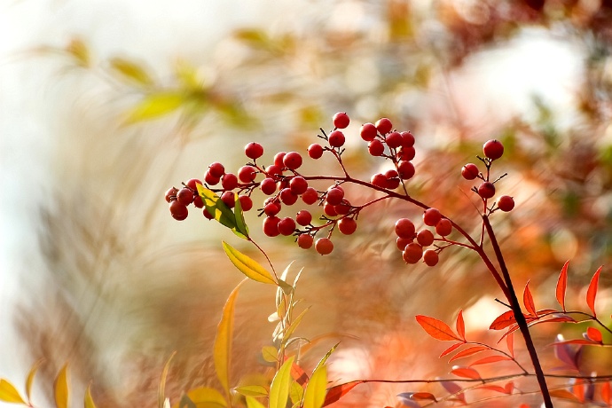 �������ů�