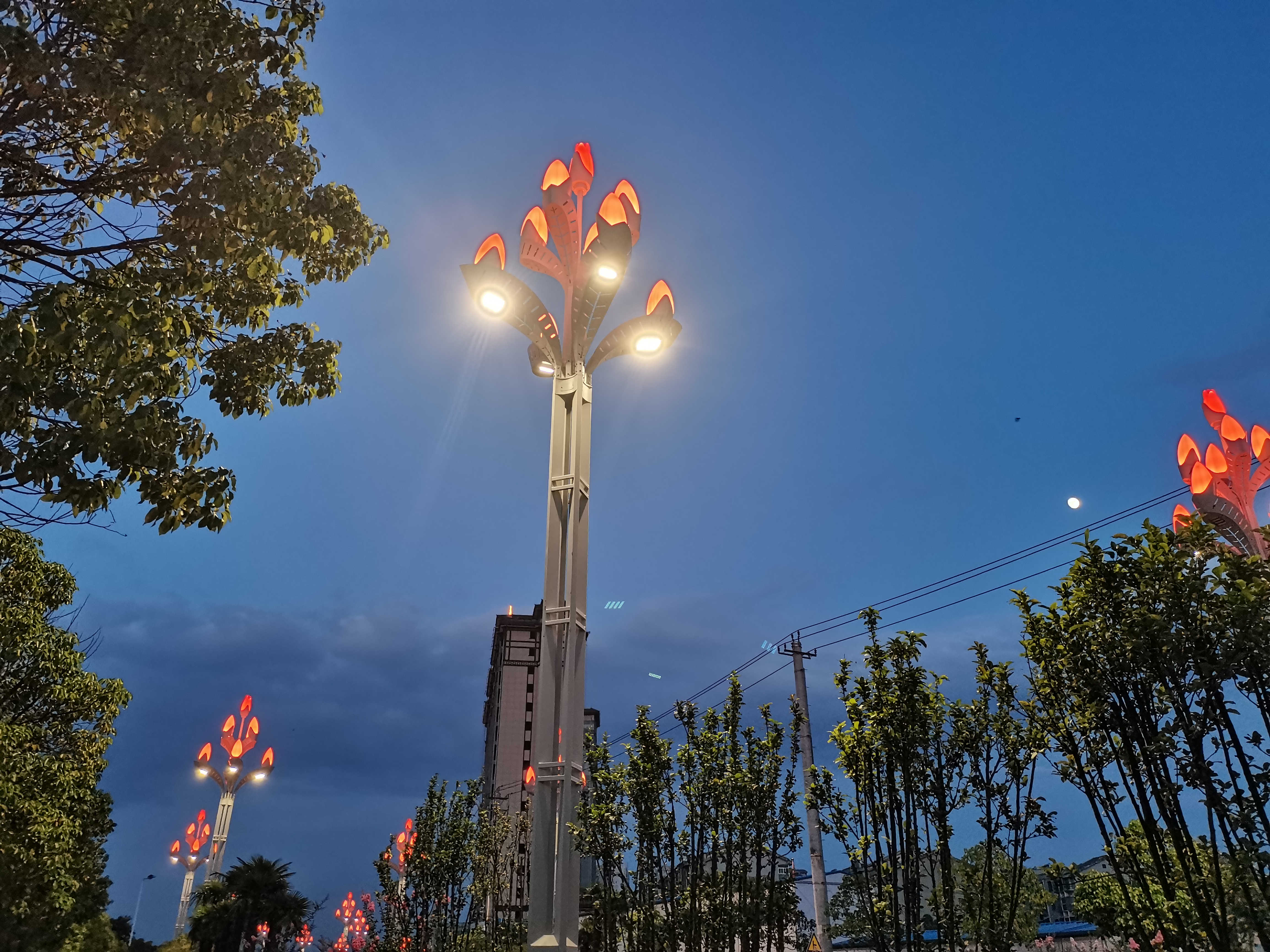 手機里的幸福時光 手機里的幸福時光