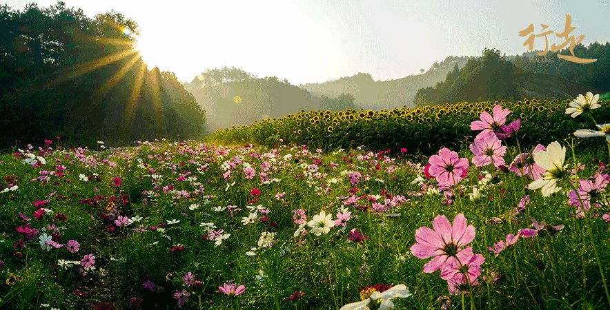 感受四季 感受四季