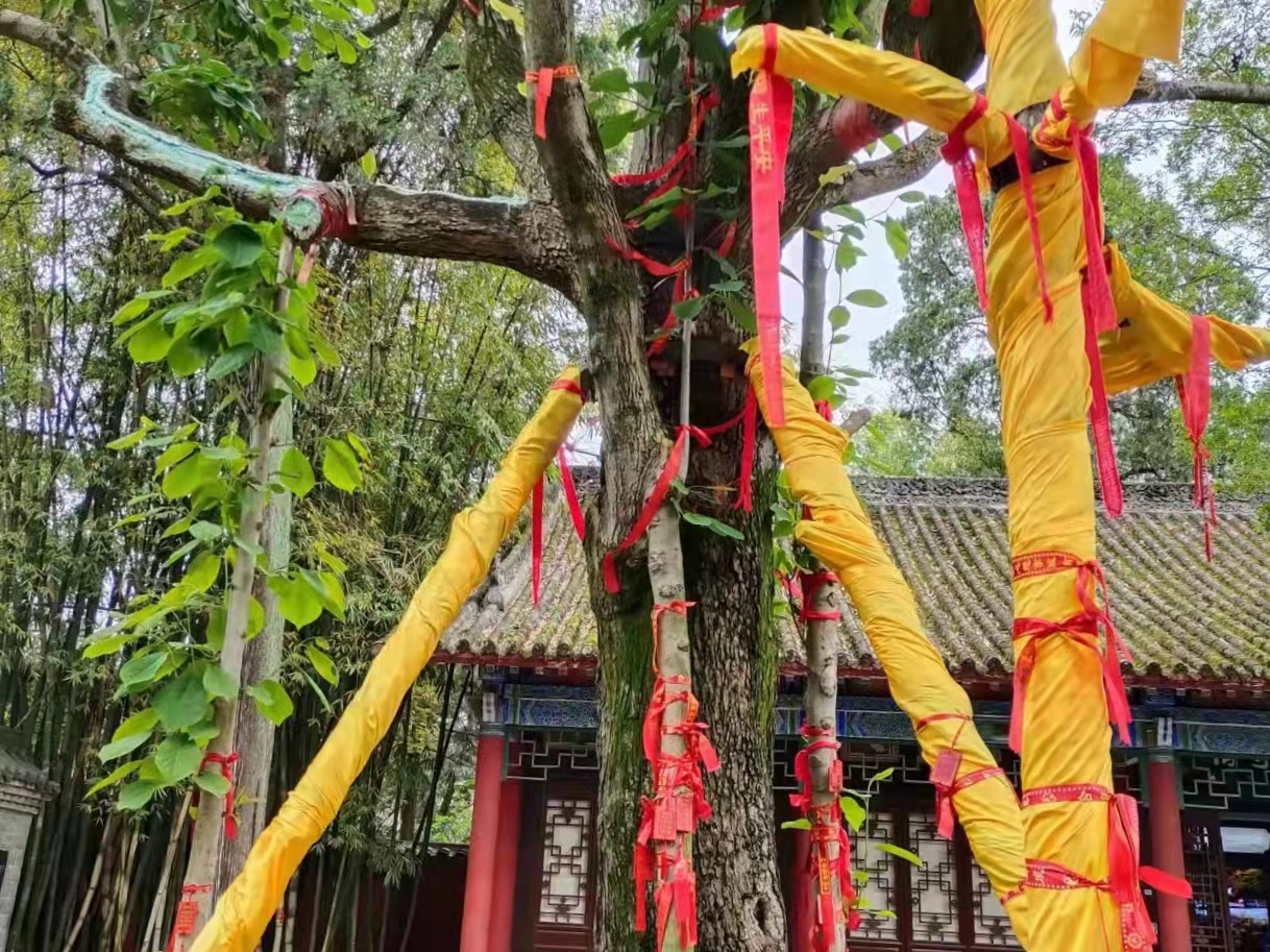 別過舊歲,走進新年 別過舊歲,走進新年