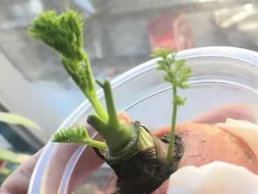 ������Ĵ��C(j��)