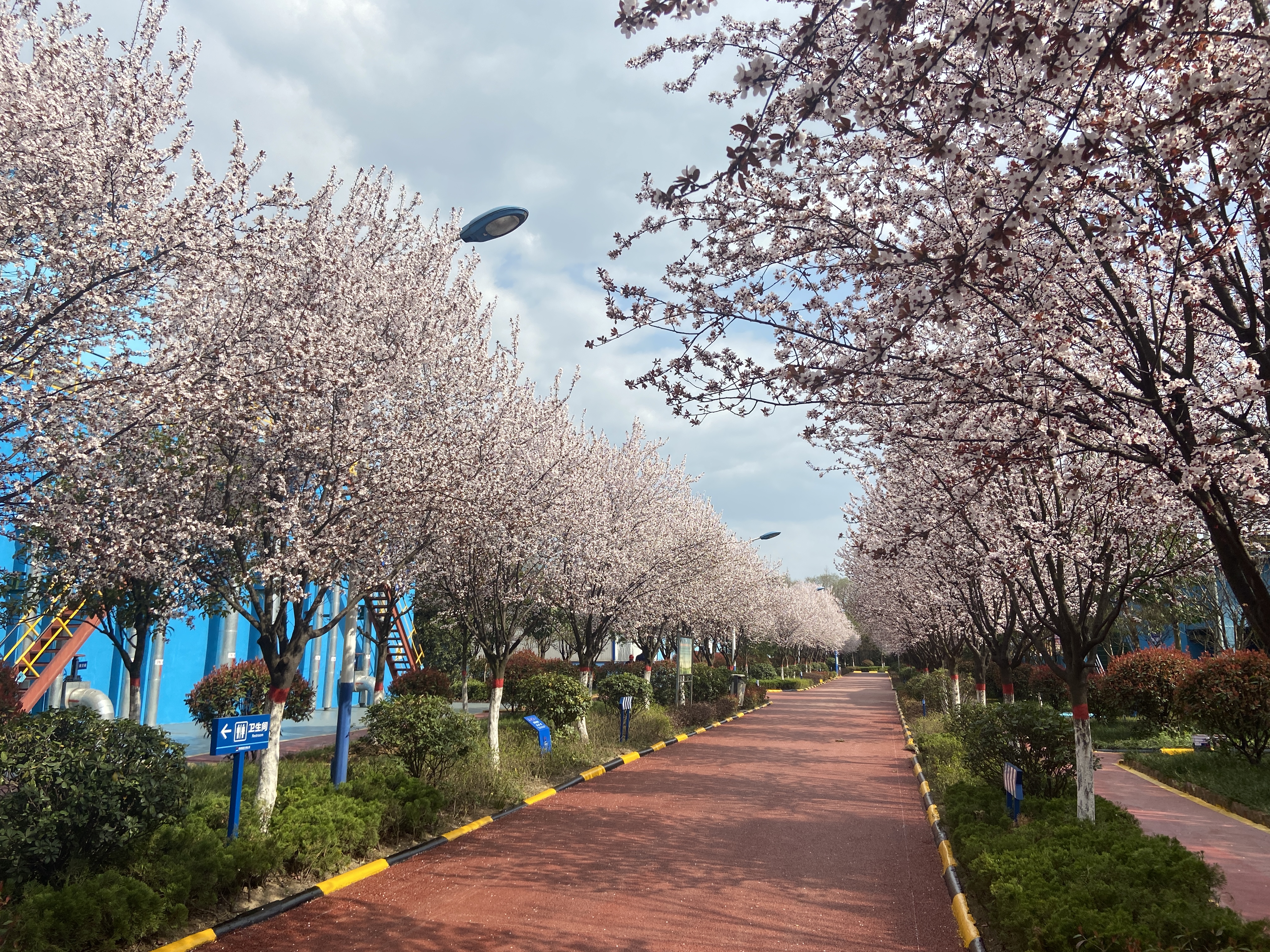 �𡰾G���������A������h䓡�����Ƭ��