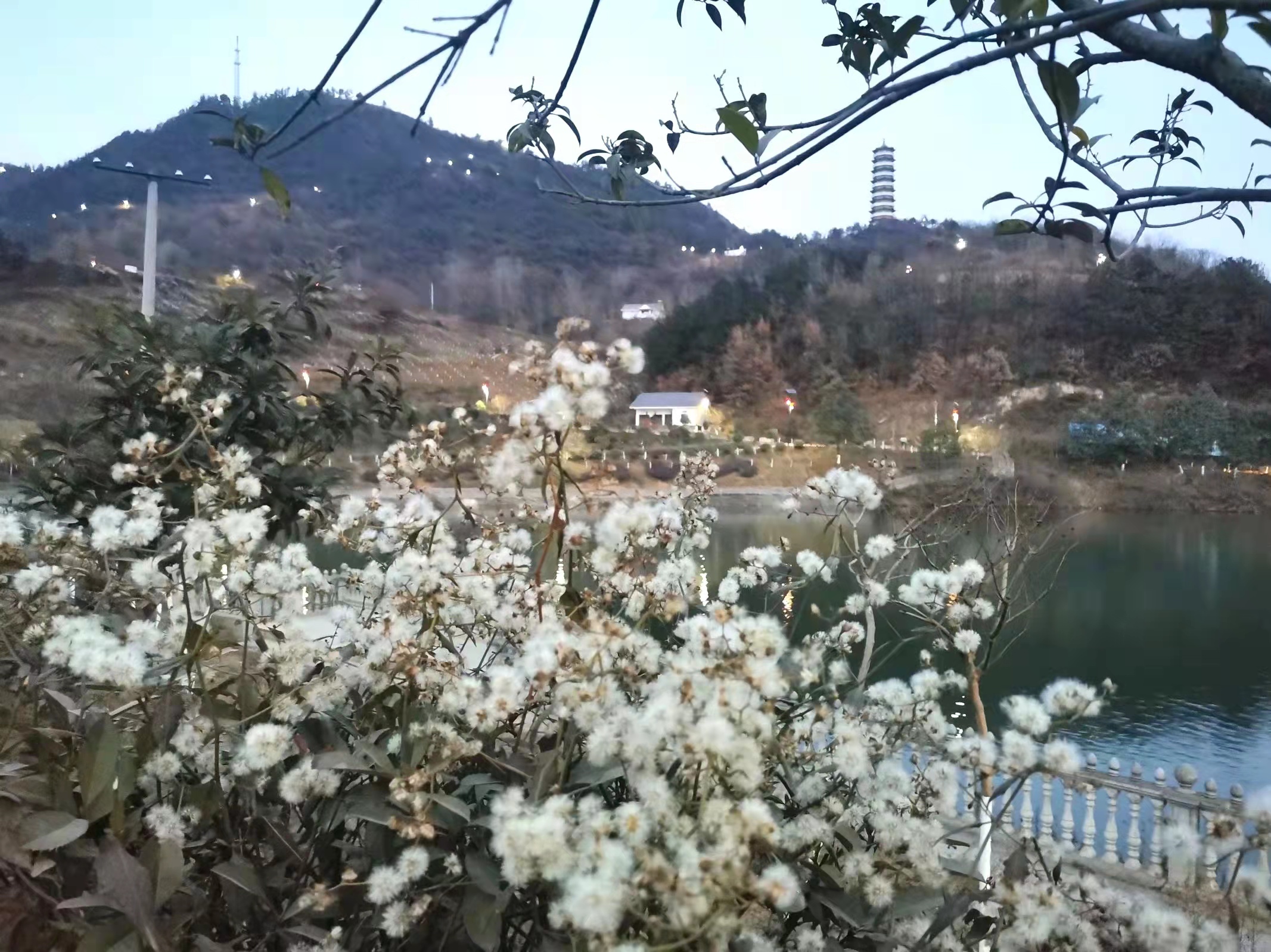 冬天來了,春天還會遠嗎? 冬天來了,春天還會遠嗎?