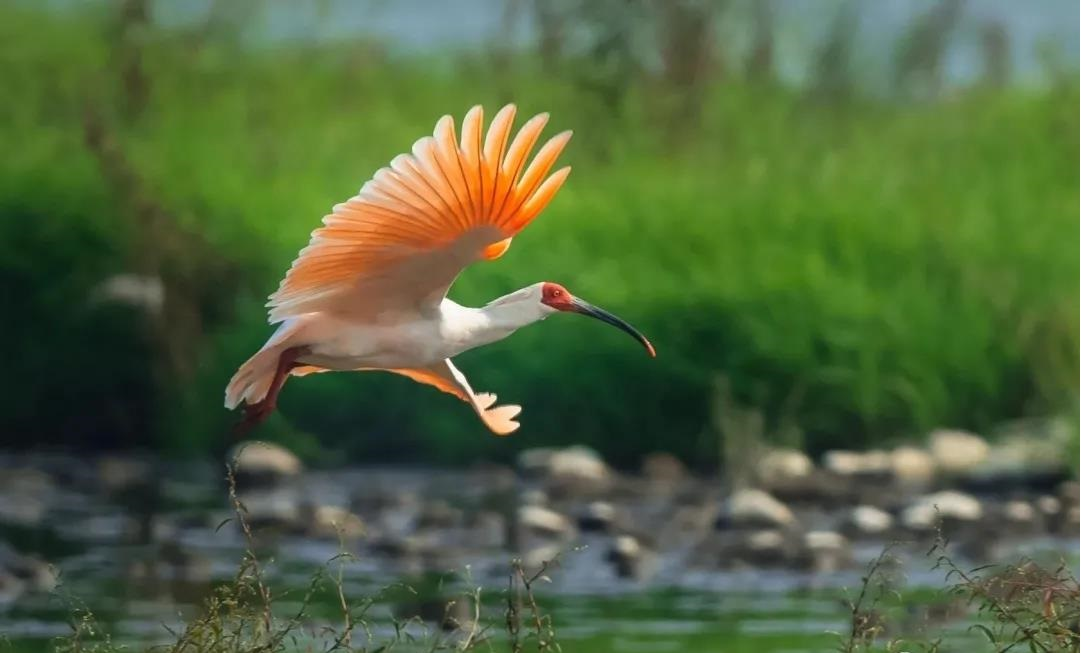 ���q����