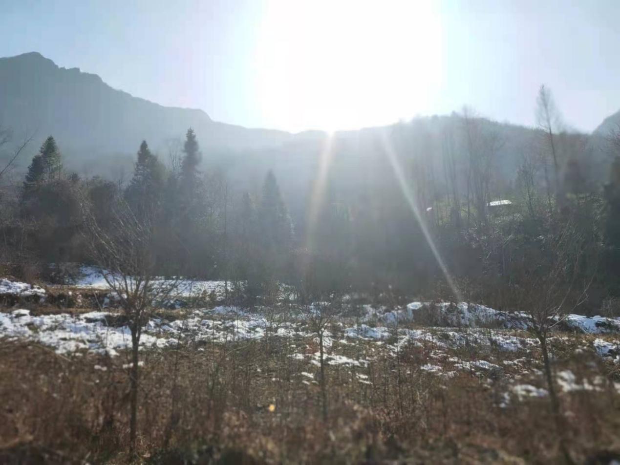 龍池之約 龍池之約