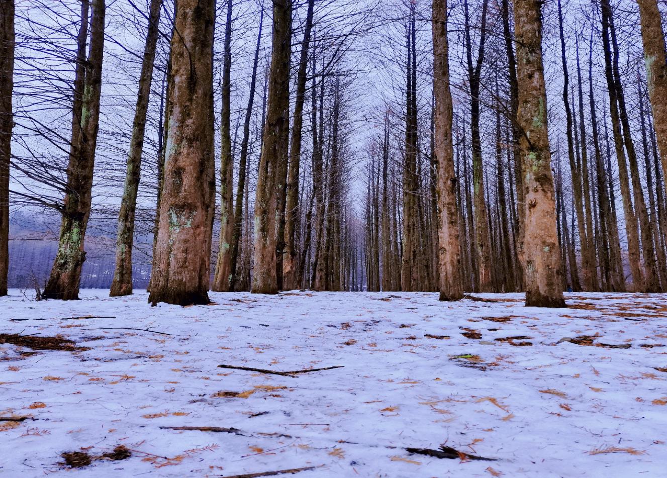 龍池之約 龍池之約