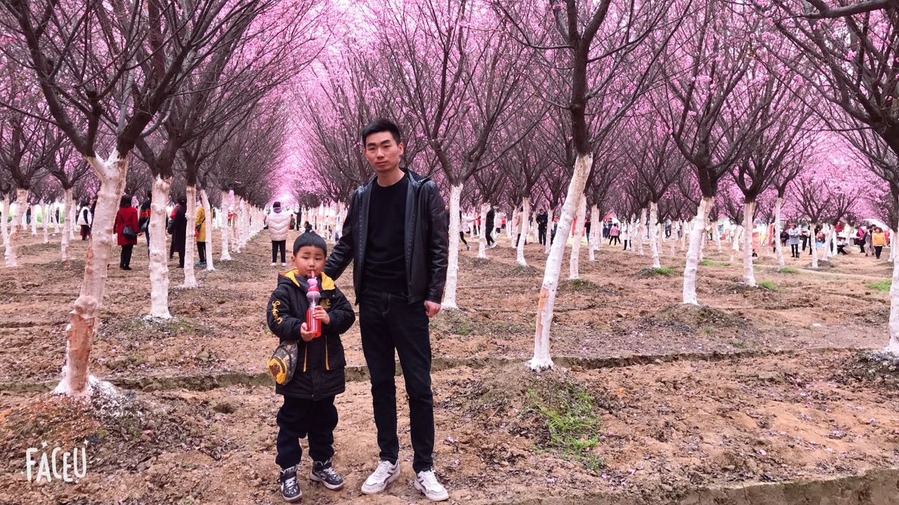 你,砥礪奮進追夢遠方 我,無怨無悔做堅強后盾 你,砥礪奮進追夢遠方 我,無怨無悔做堅強后盾