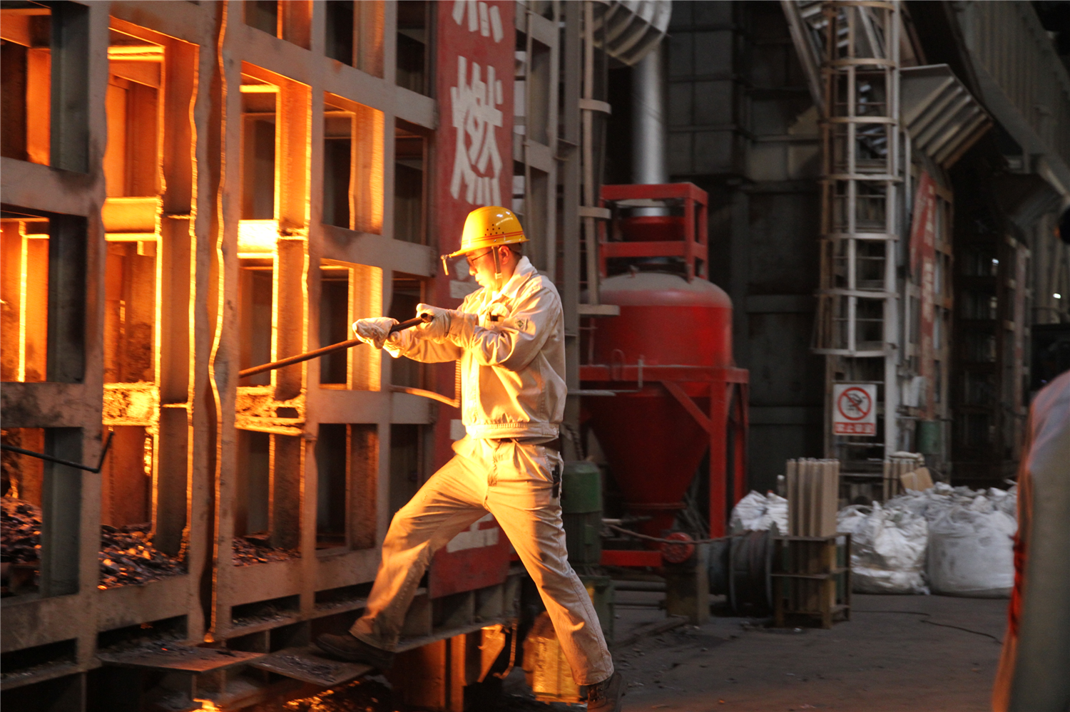 飛雪迎春又一年 飛雪迎春又一年