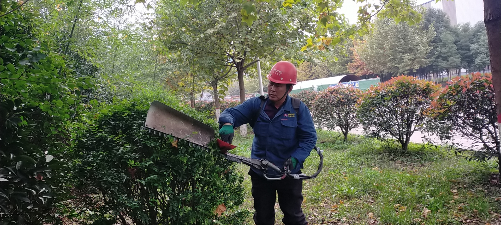 ��ȥ�������G��������δͣЪֻ��h䓸���