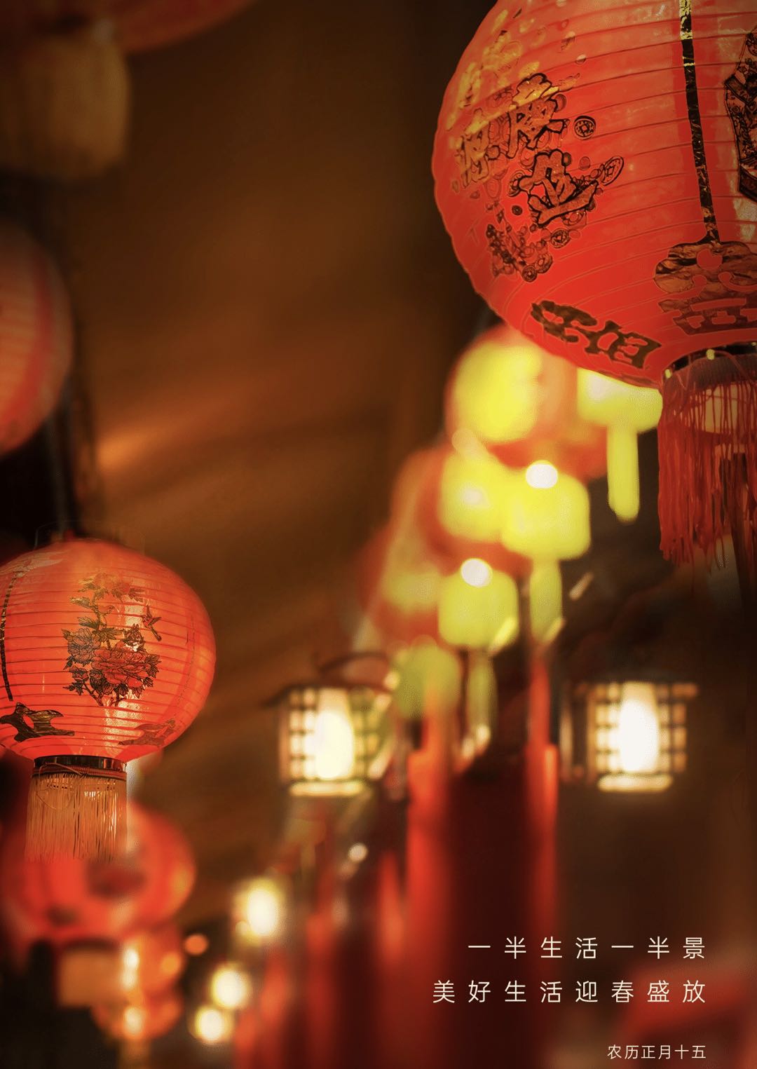 ���������^���˼sԪ����