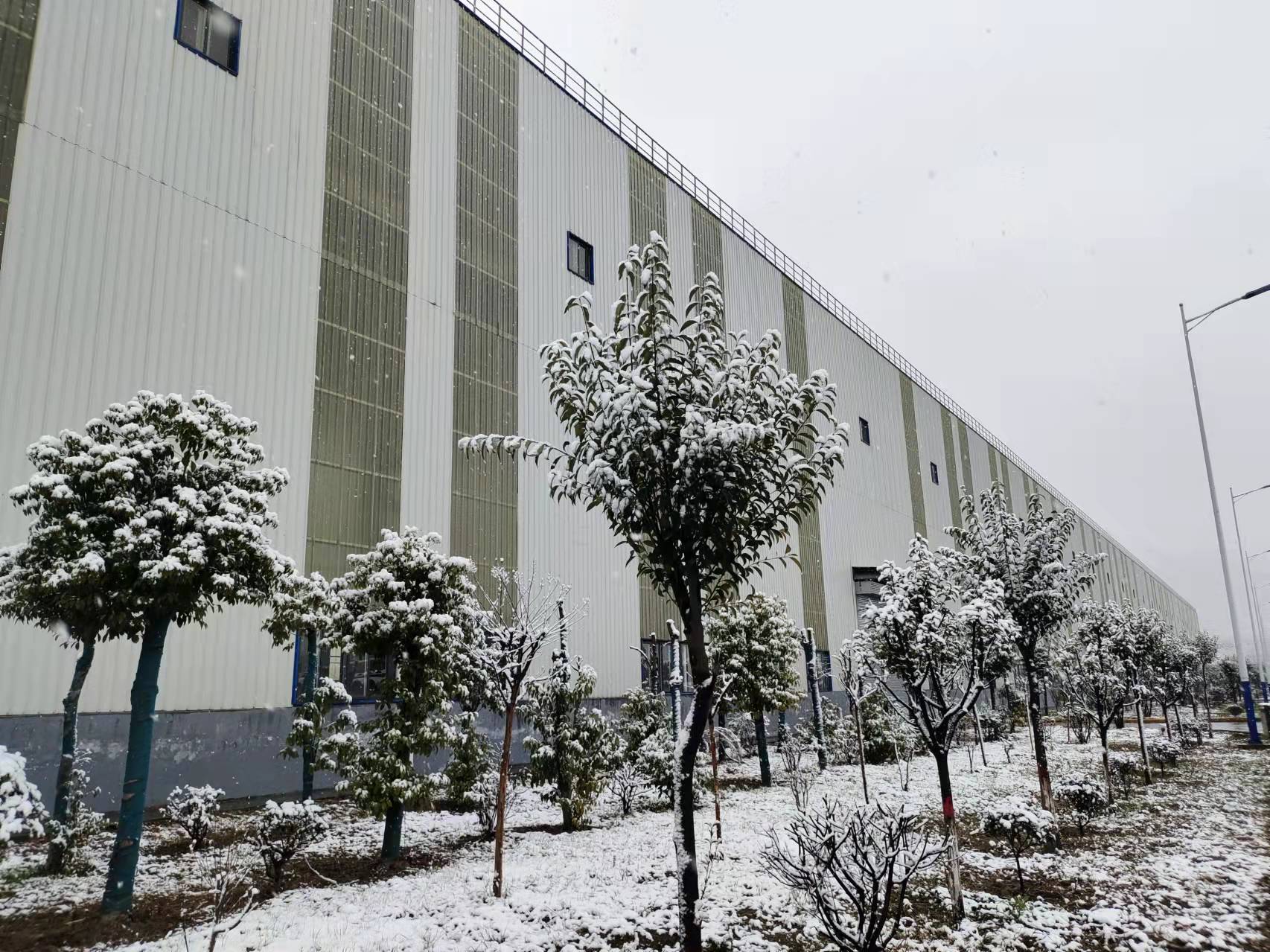 春雪飛花，爛漫了整個春天