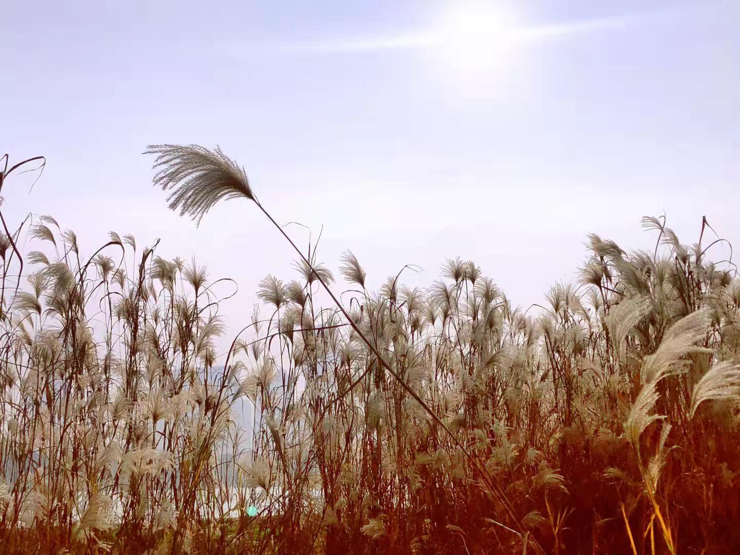 �r���е��JȔ