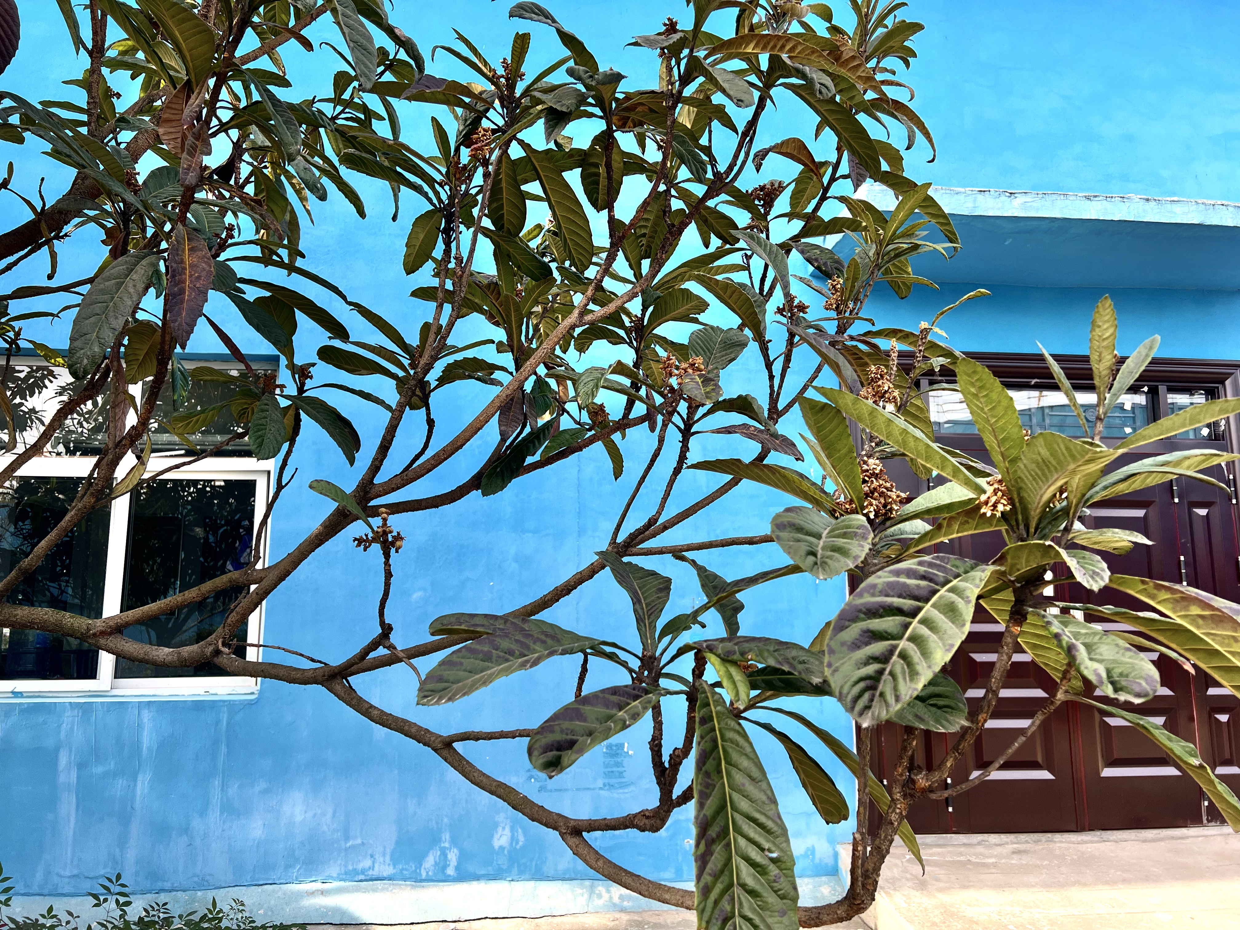 ��䓡�����Ҋ������