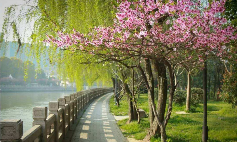 春季到來，花季盛開，三月撩人時節