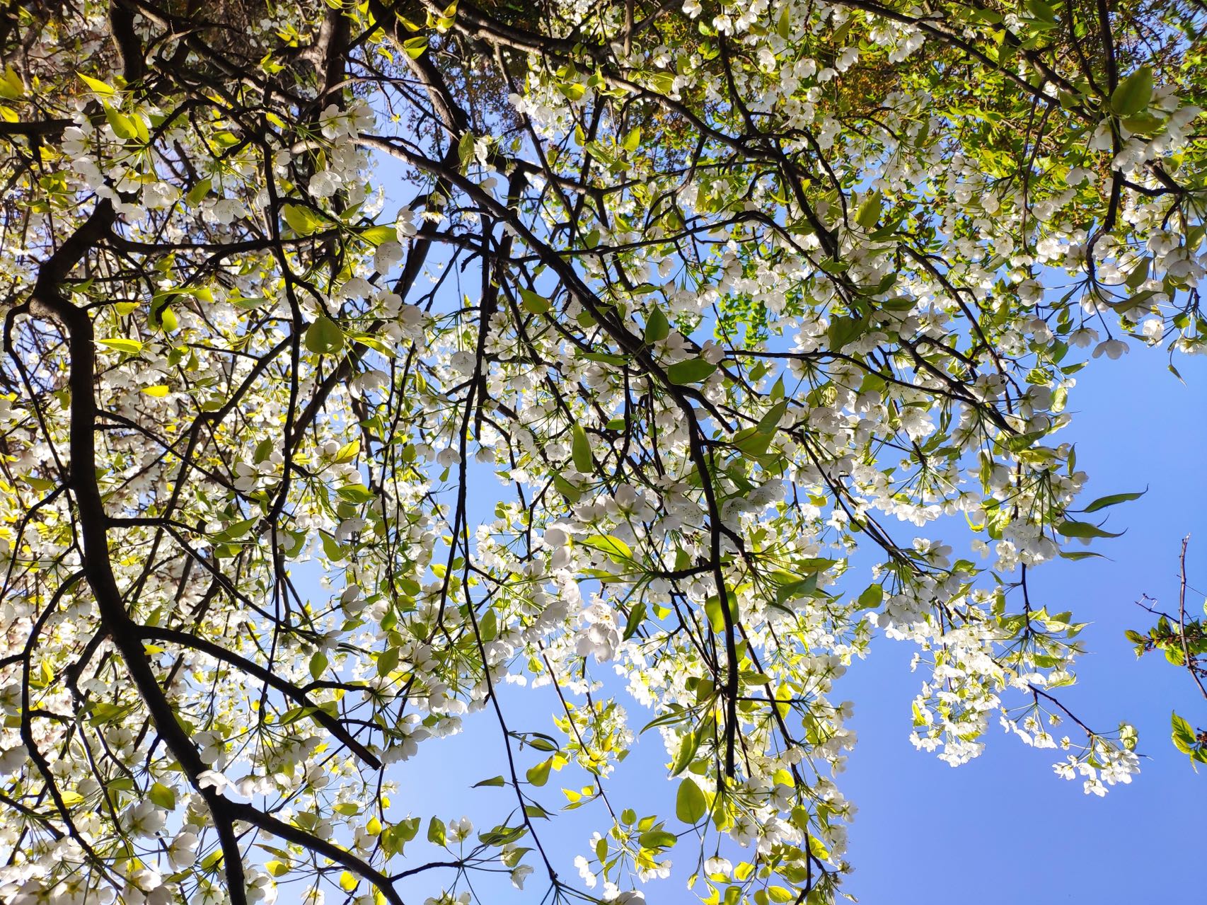 ���������������s