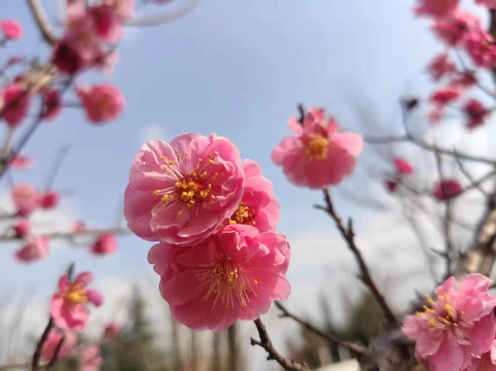 ÷�_����(d��ng)�r