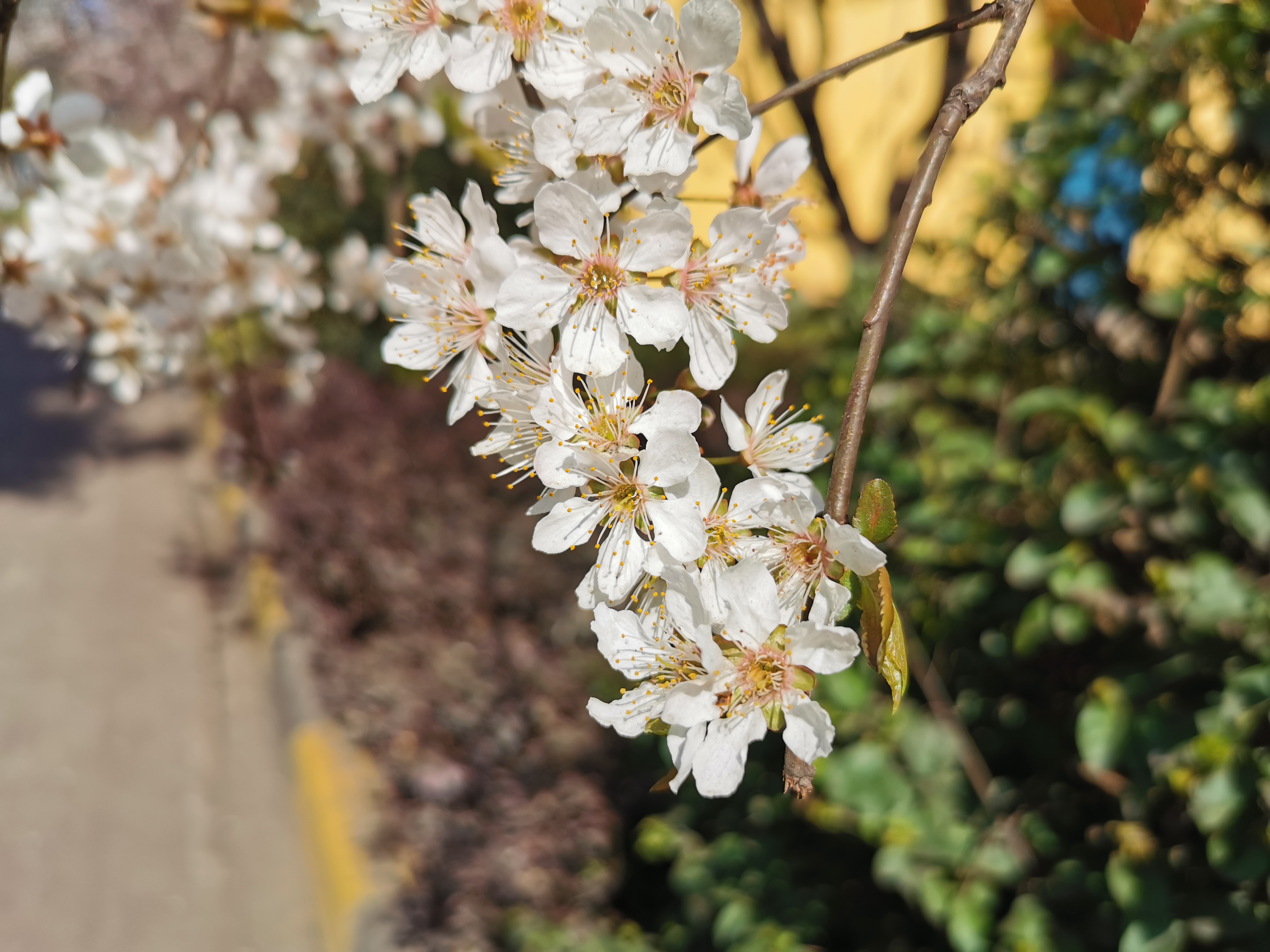 �������򿨡����֮��