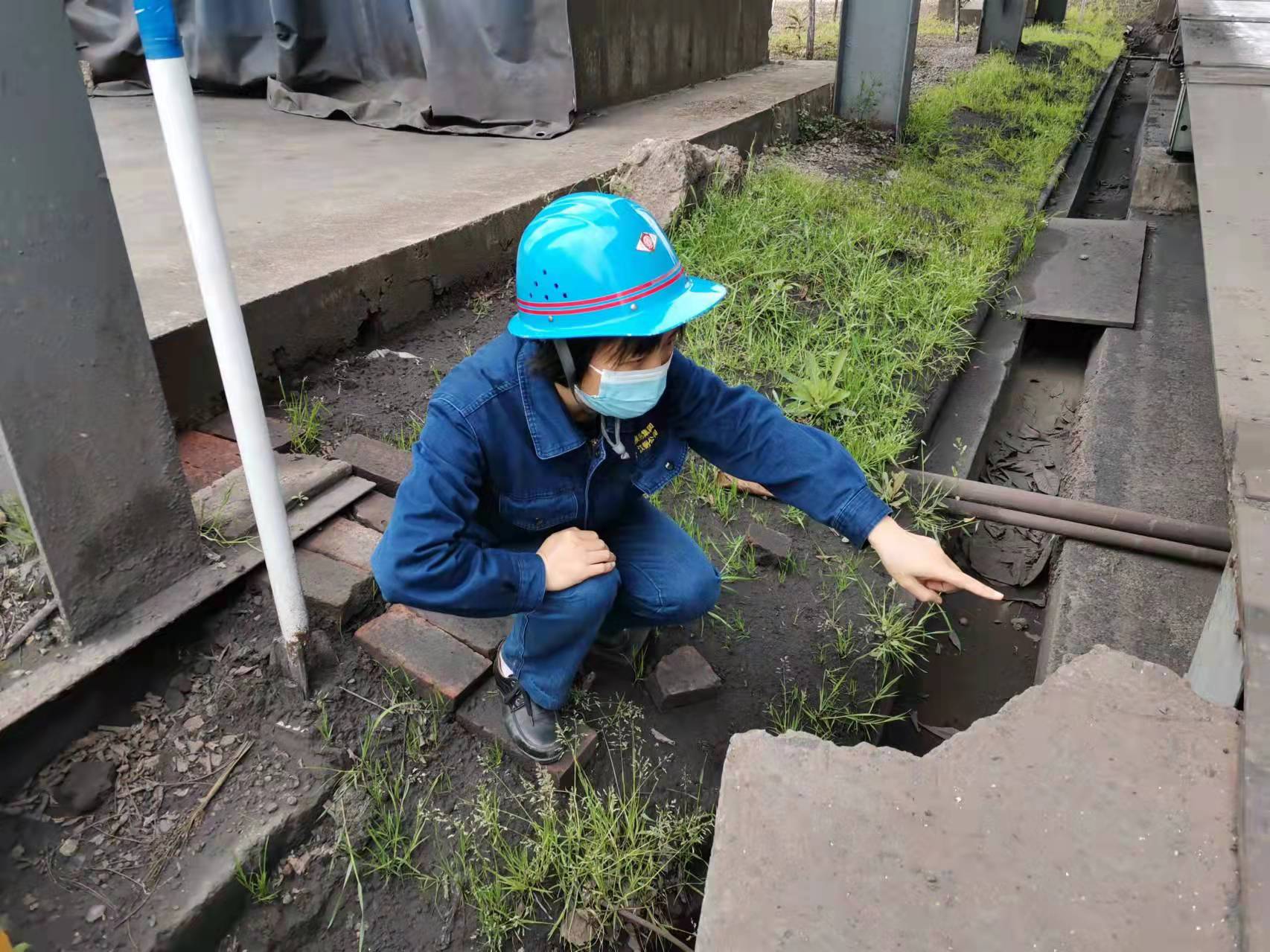 瞧,她們這“三劍客” 瞧,她們這“三劍客”