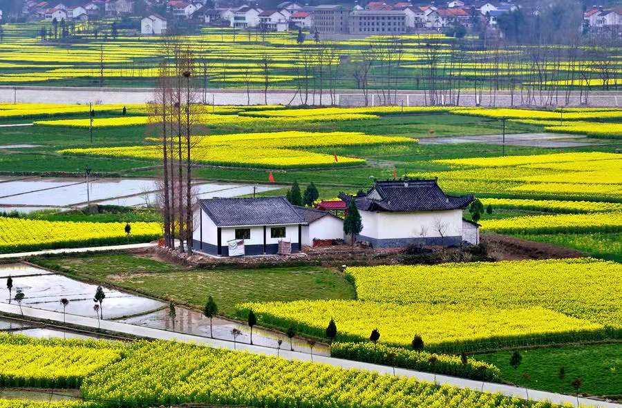 新綠漢中 新綠漢中