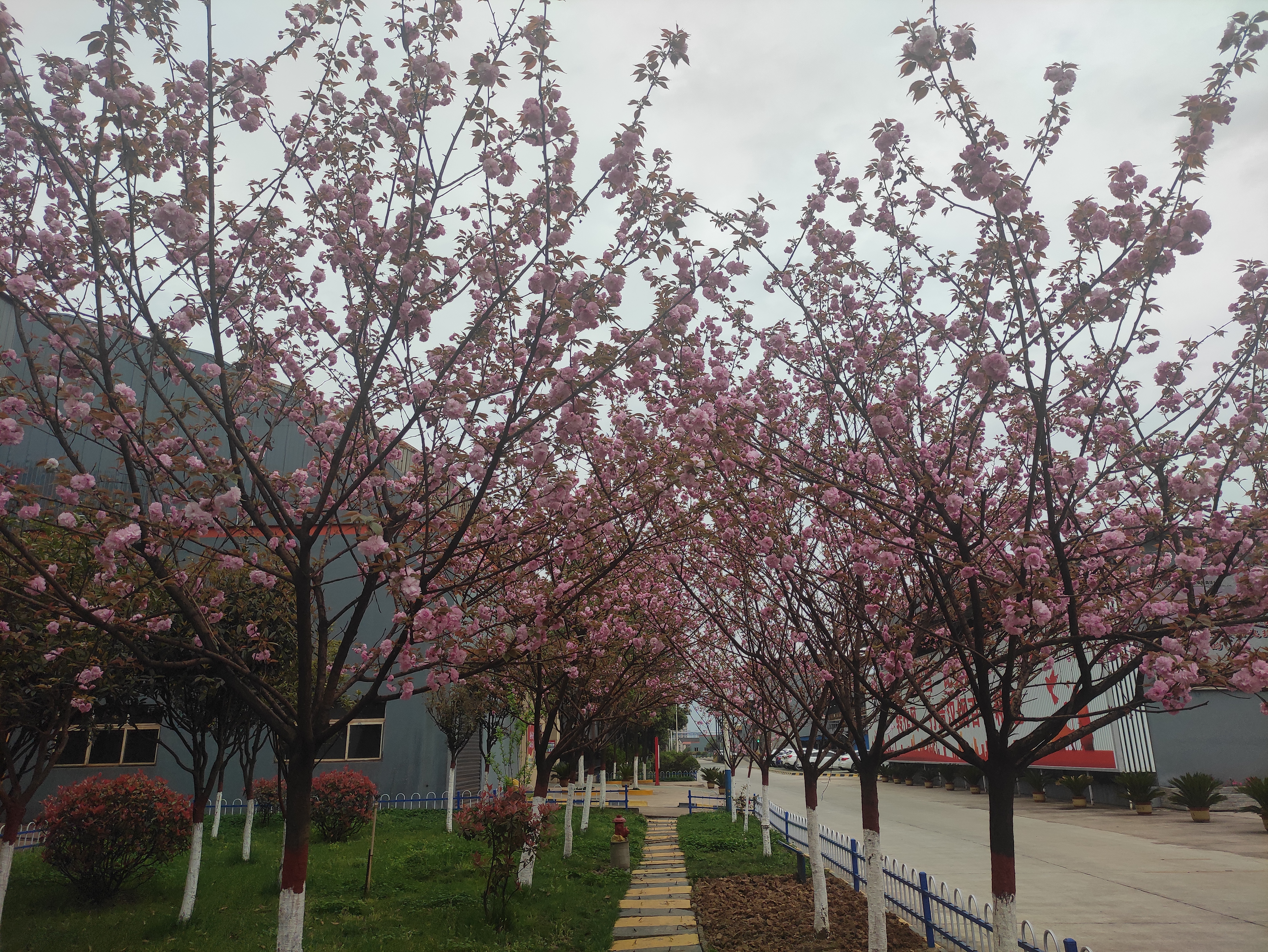 ���������r���G�������С������Y�S�_չݠ�^�G��������ӛ