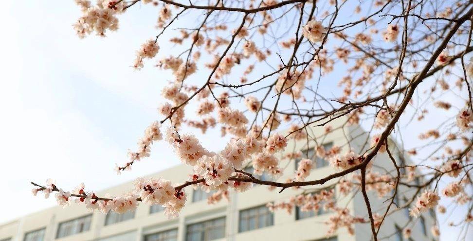 �����x������������