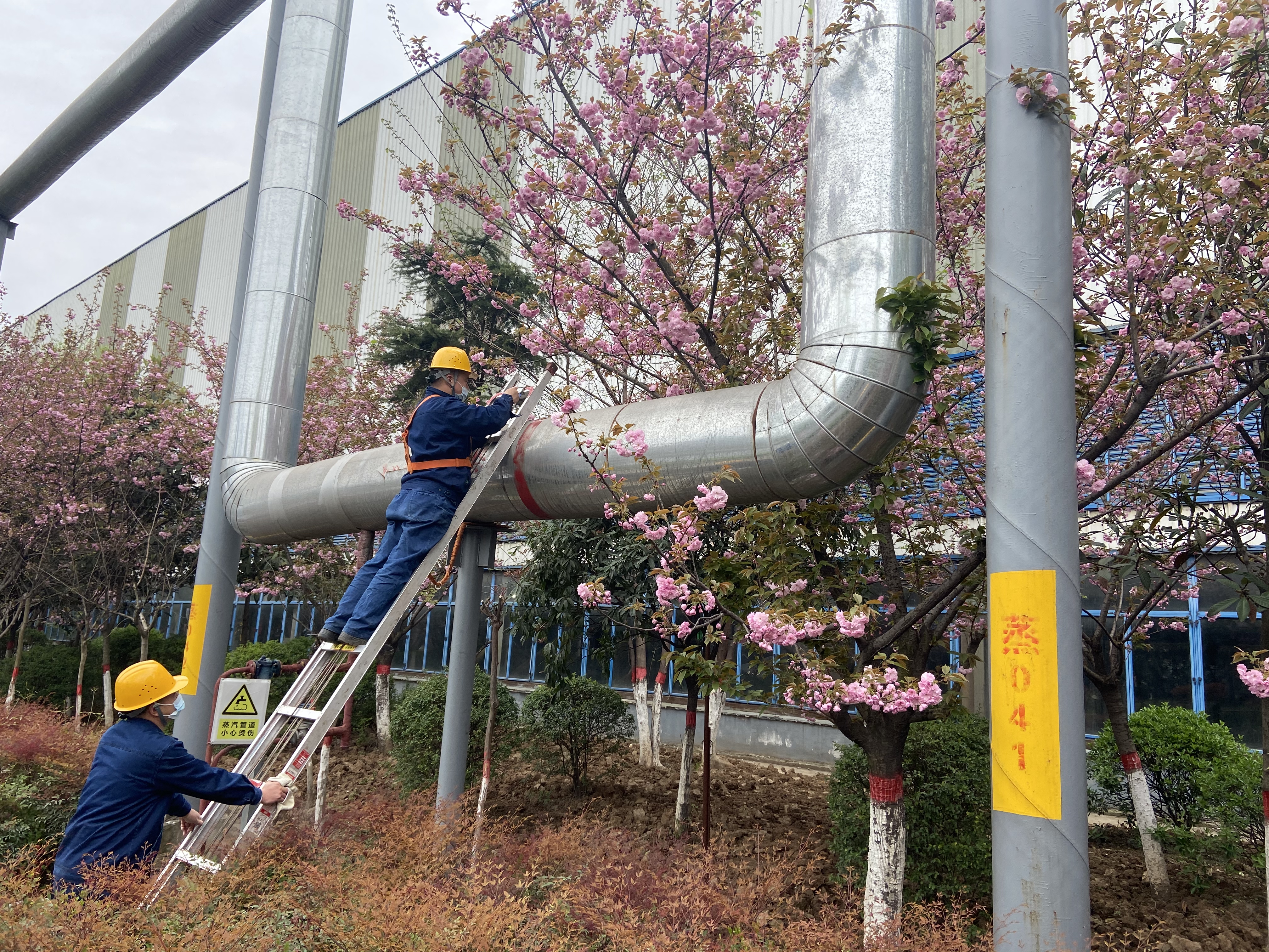 ��(n��i)��(li��n)��(d��ng)�R�۸ĸ��(d��ng)��