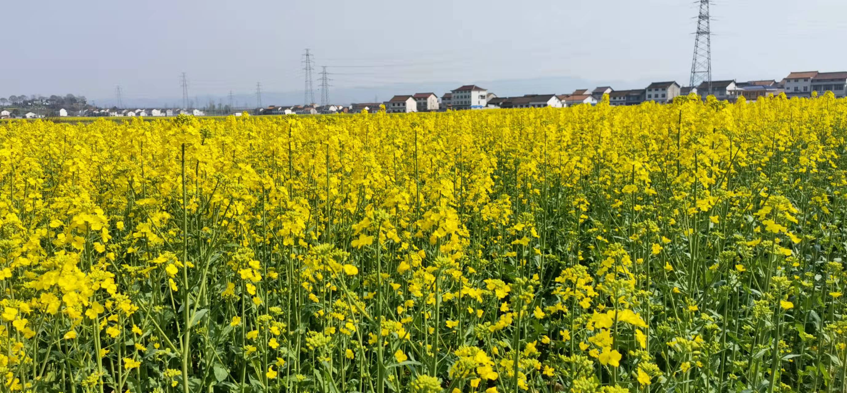 �����ҷ�  �ͻ�����