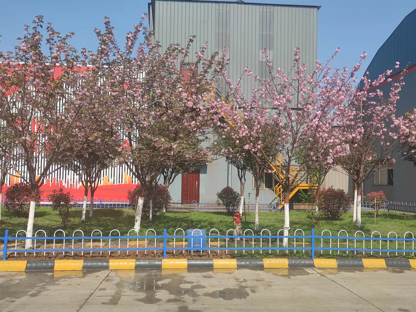 鋼城春意濃 不負(fù)好時(shí)光 鋼城春意濃 不負(fù)好時(shí)光