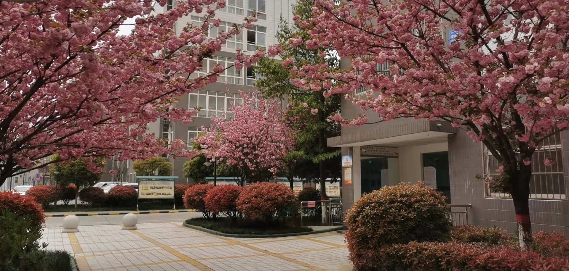 �Ă��Գ�׌����ס�h(hu��n)����n����