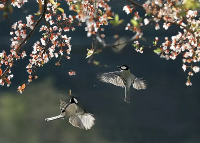 ��������  �������