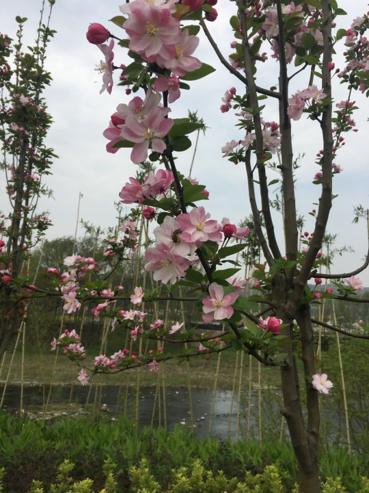 �r���V˼��