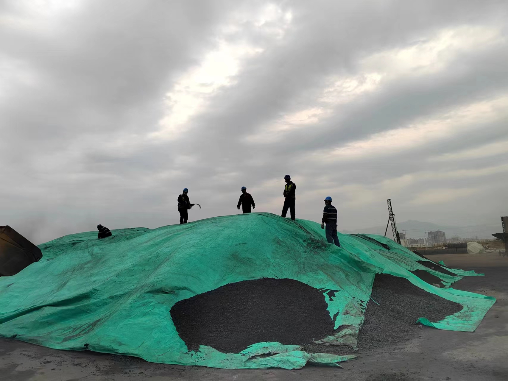 狂風驟雨下的原料“守護人” 狂風驟雨下的原料“守護人”