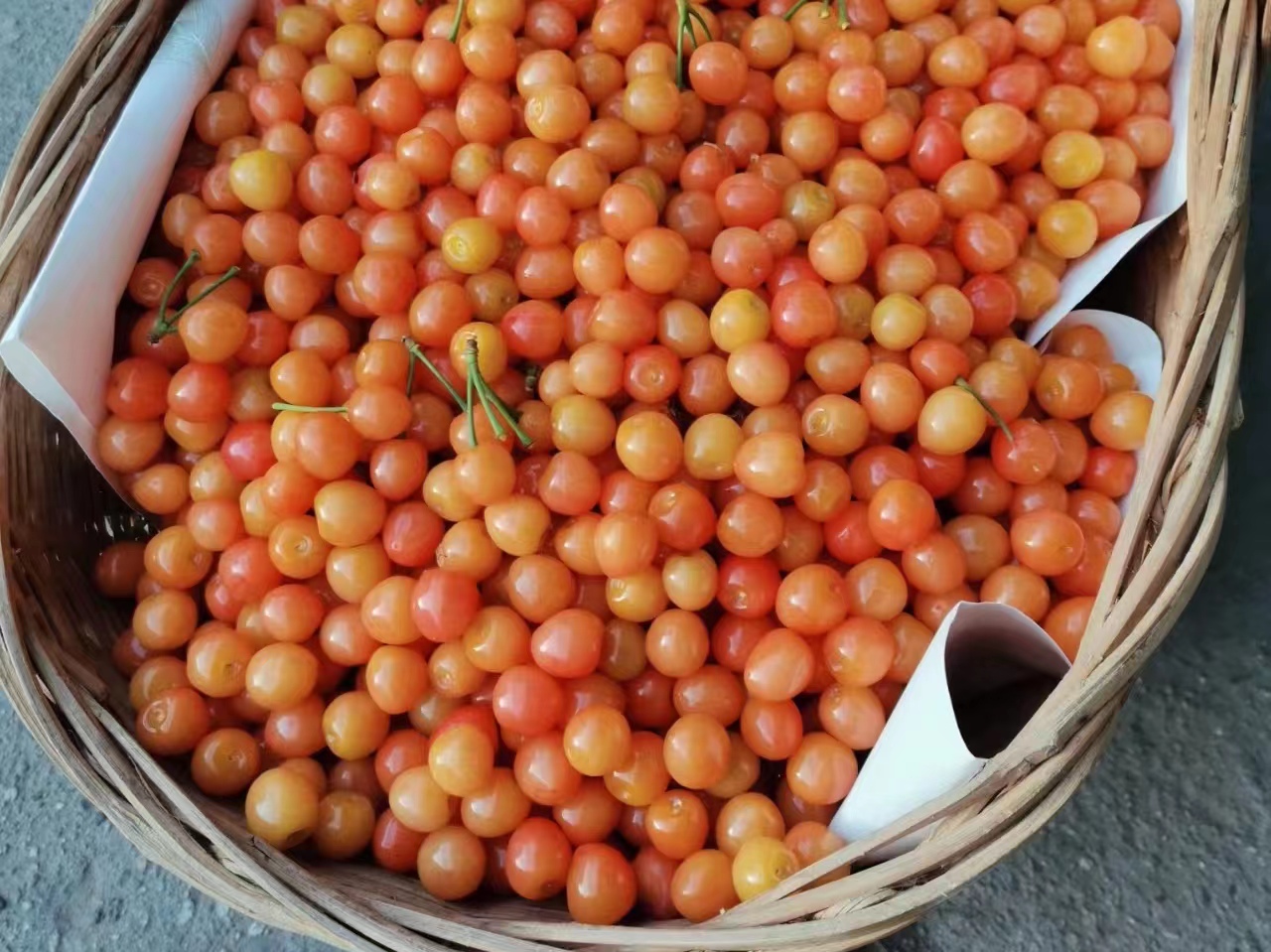 櫻桃紅時情更濃 櫻桃紅時情更濃