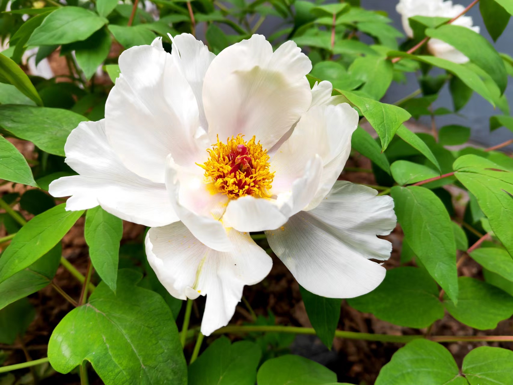 ����̼t���I��䓳�֮��