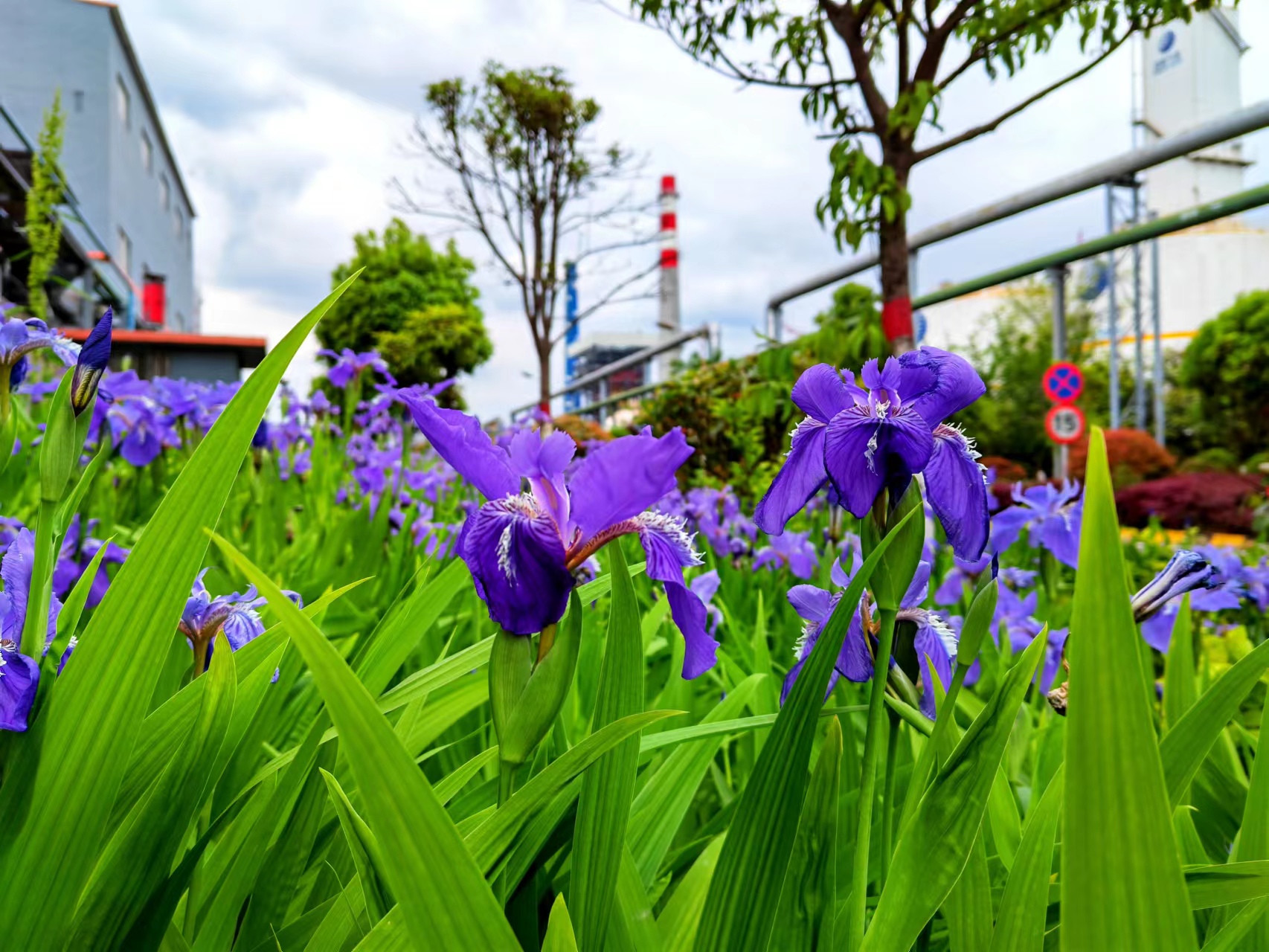 ����̼t���I��䓳�֮��