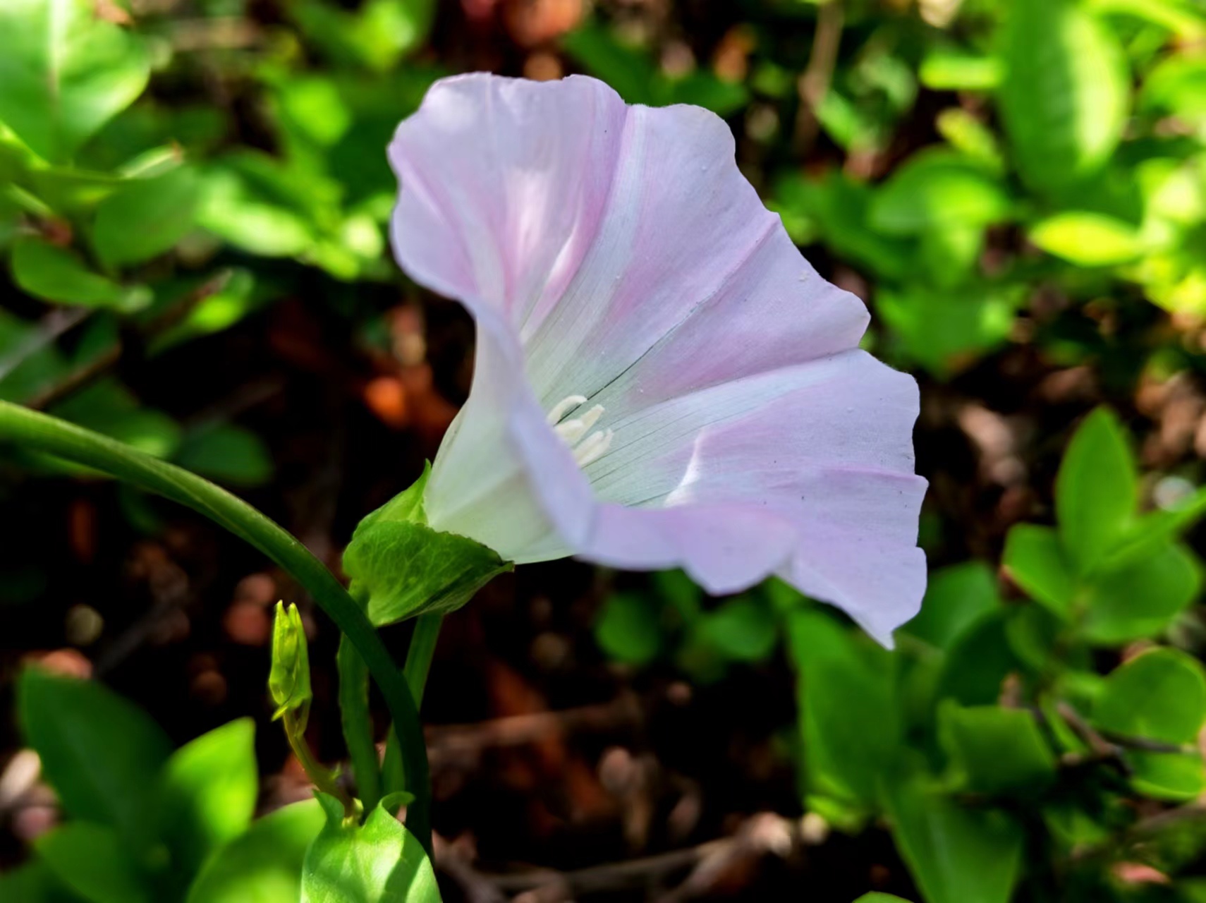 ����̼t���I��䓳�֮��