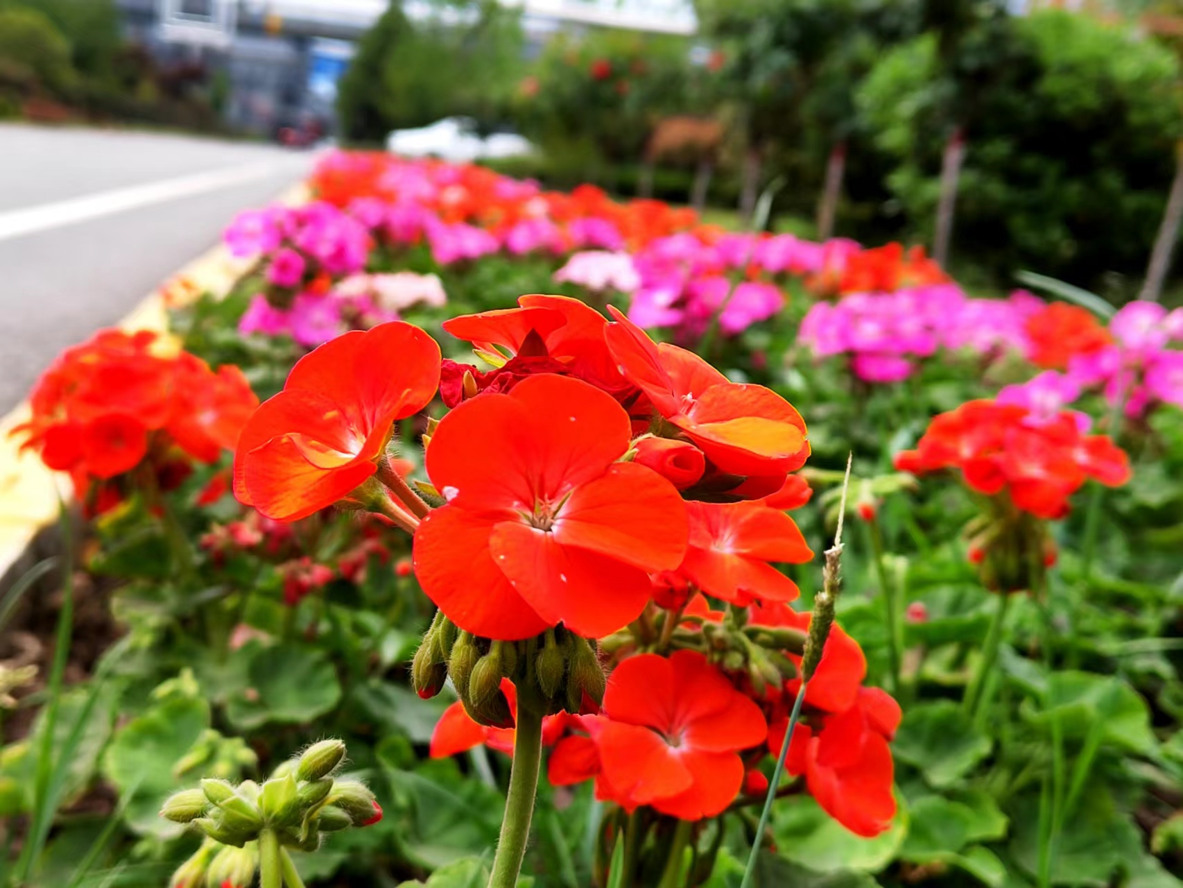 ����̼t���I��䓳�֮��