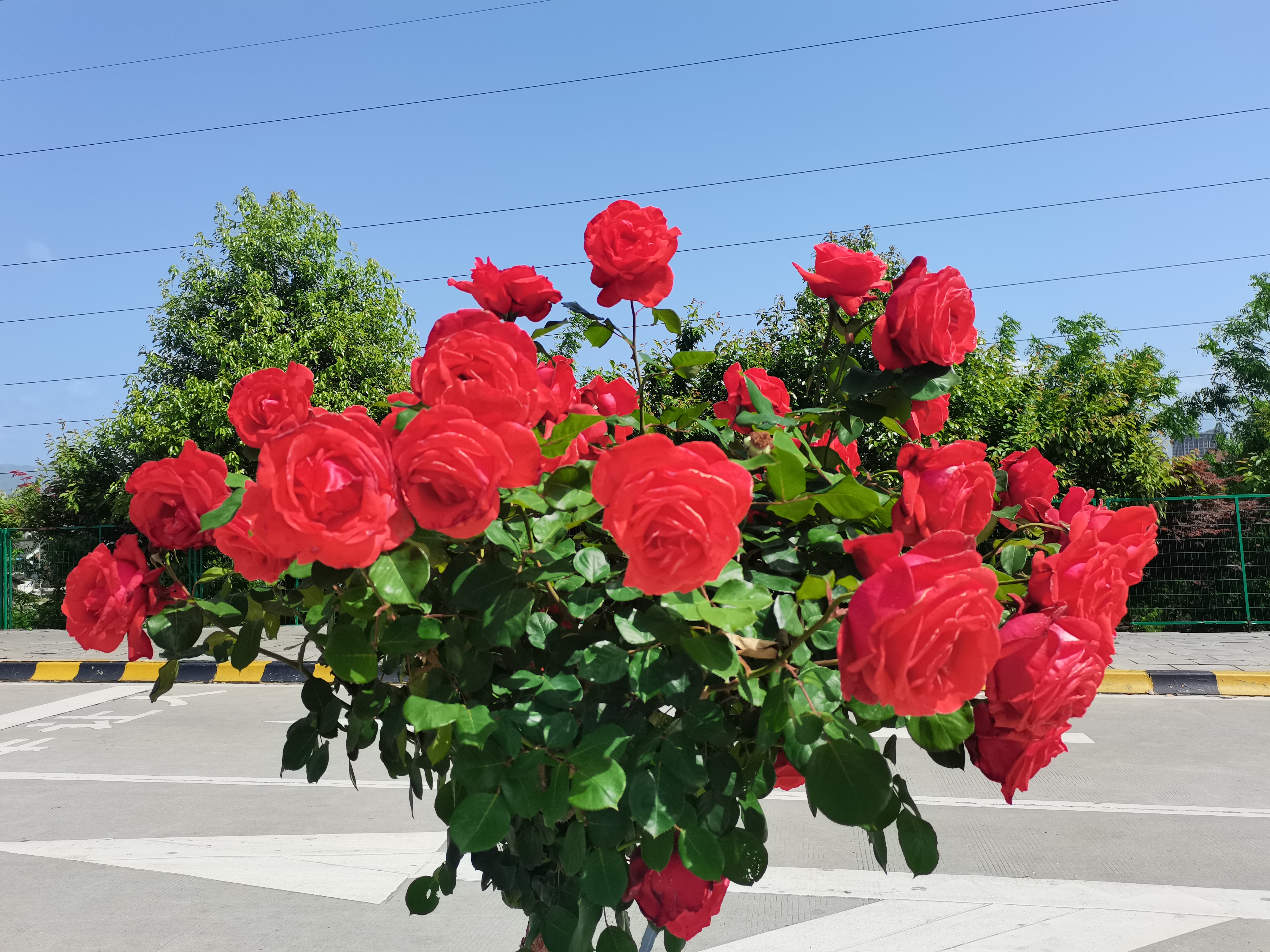 䓳�����¼�