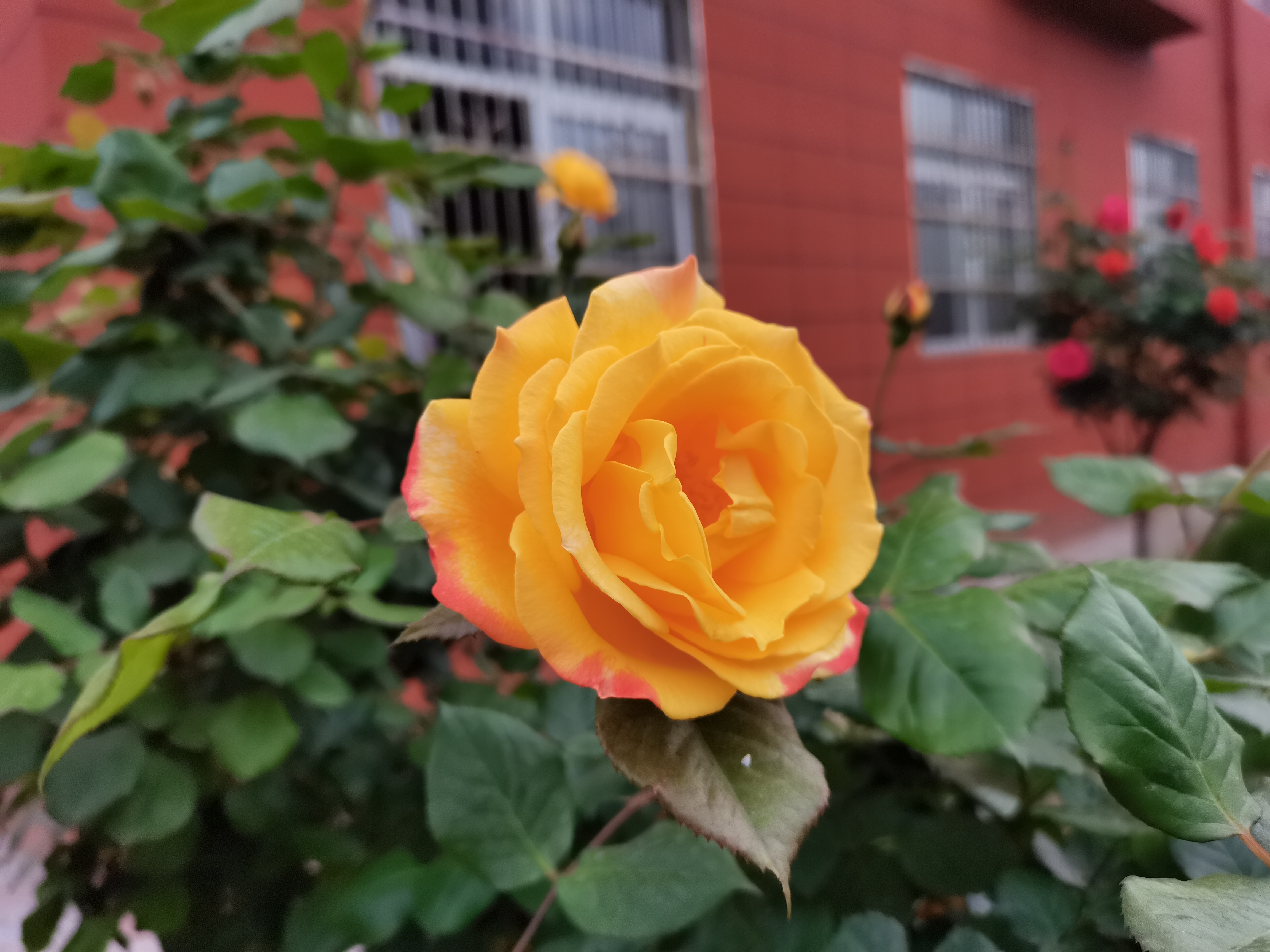 䓳�����¼�