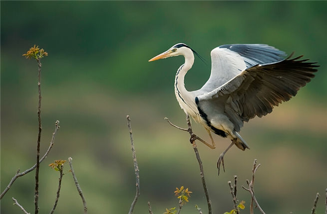 �h䓹����o��ϵ���n��  ��h���ﱣ�oվ�����cٝ��